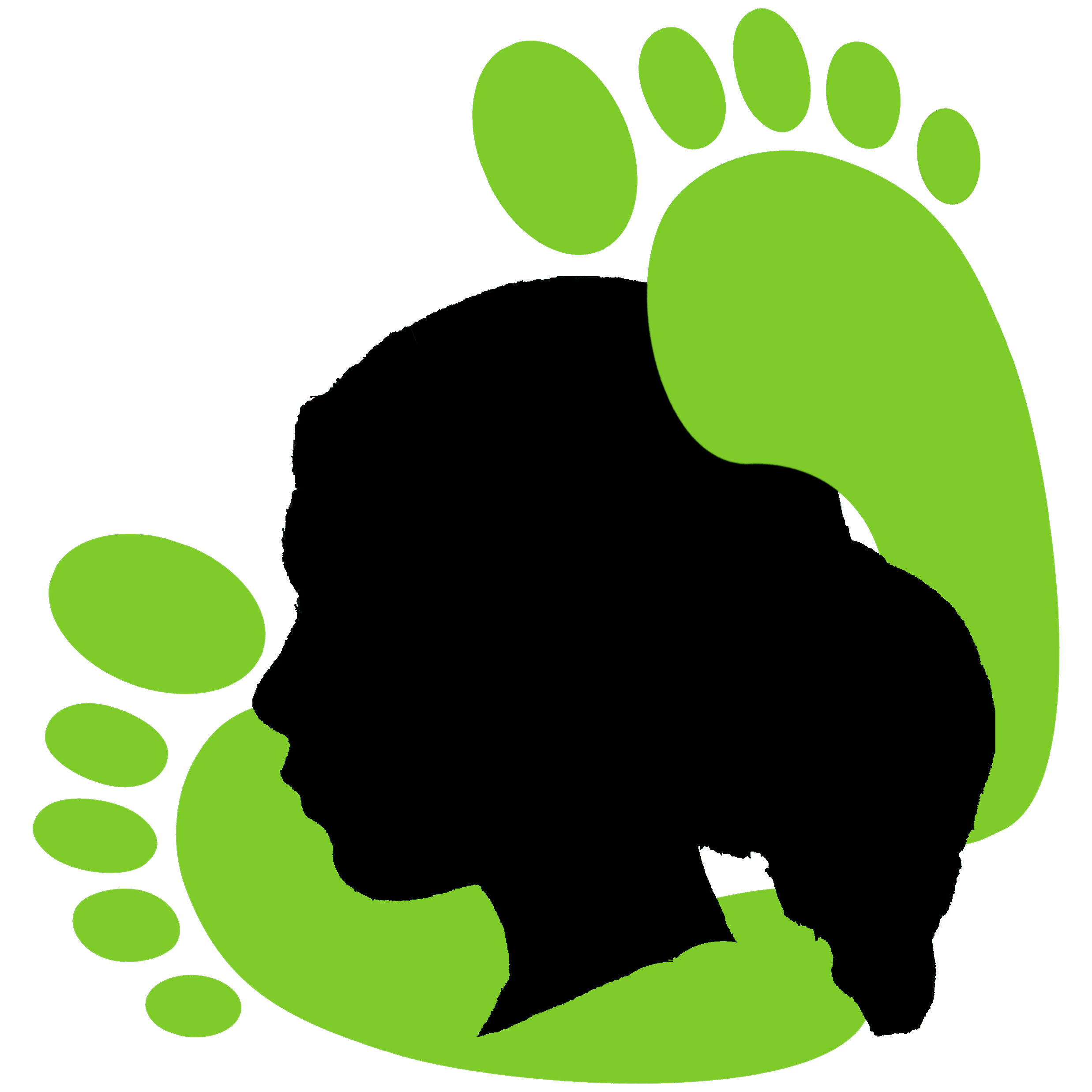 Odile Pedicure Software